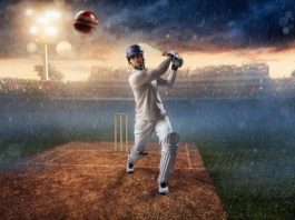 Cricbet99 Offers a User-Friendly Platform for Smart Bettors cricbet99